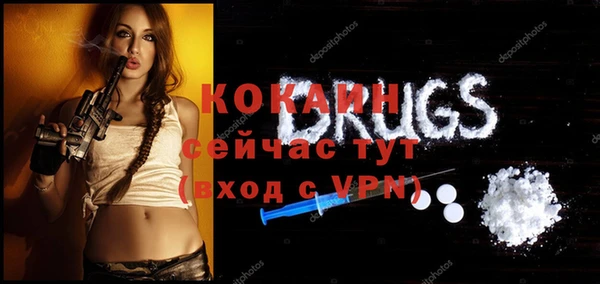 гидра Алексеевка